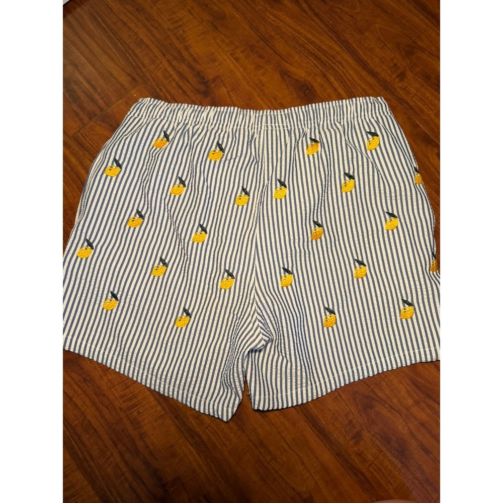 Warren Webber Beachwear Swim Trunks Men's M Lemon Embroidered Striped Shorts - Picture 7 of 7